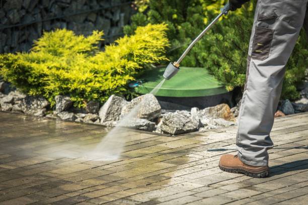 Best Dumpster Area Cleaning  in Lake Wylie, SC